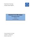 Biodiesel from Microalgae 