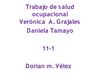trabajo salud ocupacional-diapositivas