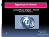 Segurança_Internet