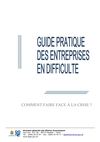 Guide pratique des entreprises en difficulté 2012