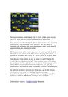 The Options Screener Paper