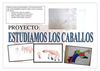 PROYECTO LOS CABALLOS