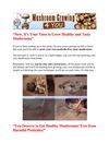 mushroom cultivation in home - mushroom farming at home - mushrooms farming