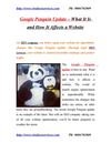 Google Penguin Update – What It Is and How It Affects a Website