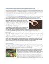 Best Garden Beds_5-17-12_Understanding Why Gardeners Used Raised Garden Beds_Rachel