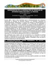 Experiencias en la generación de modelos de internacionalización a la medida