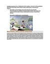  Trabajo práctico N°2: "TIPOS DE ENCUADRE, VISTAS Y EQUILIBRIO-IMAGEN FIJA SECUENCIADA-Comic, historieta y storyboard"