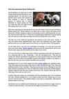 Most Recommended Sports Betting Site
