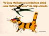 "O gato Malhado e a andorinha Sinhá": apresentação da obra