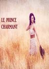 le prince charmant 