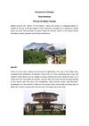 Honeymoon Packages - Explore Ooty 