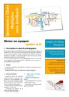 QCM avec feedback - Réviser son espagnol