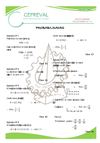 PPS2013A-SPDF-Probabilidades_doc