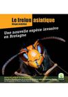 brochure frelon asiatique en Bretagne