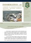 Informativo nº 19 da Comissão de Desenvolvimento Regional, Recursos Hídricos, Minas e Pesca