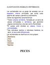 CLASIFICACION ANIMALES VERTEBRADOS