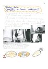 PROJECTE: ELS PINGÜINS (part 3)