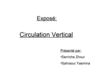 circulation vertical.ppt