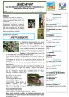 faireSavoir n°05