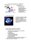 NAVEGACIÓN Y BÚSQUEDA EN EL CIBER ESPACIO - Guía Nº 1