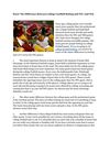Know The Difference Between College Football Betting and NFL And Win