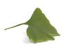 Natural Remedies For Ed