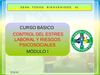 Curso Basico de Manejo y Control del Estres Laboral