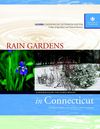 Rain Gardens in Connecticut: A Design Guide for Homeowners