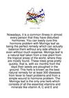 Nowadays,-It-Is-A-Common-Illness-In-Almost-Every-P164
