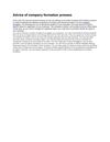 Advice of company formation process