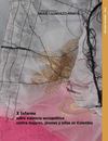 X informe sobre violencia sociopolítica contra mujeres, jóvenes y niñas en Colombia, 2000 - 2010