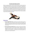 Know More about Pedicure Spa Chair