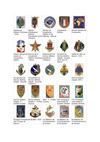 INSIGNES REGIMENTAIRES