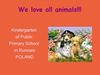 Cats are our favorite animals!