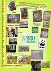 Semi di Sostenibilità IIIF Primaria Pistelli 20012