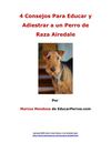 4 Consejos Para Educar y Adiestrar a un Perro de Raza Airedale