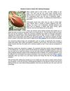 Newbie's Guide on Basic NFL Betting Strategies