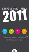 CCI 41 - Rapport d'activités 2011