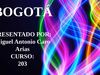 BOGOTÁ, GRADO 203