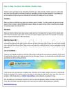 Tips to Help You Build the Perfect Chicken Coop