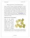 What to expect from a viral marketing company
