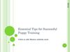 Essential Tips For Successful Puppy Training