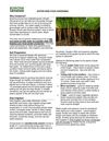 Water-Wise Food Gardening Sonoma County - University of California