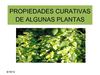 PROPIEDADES DE LAS PLANTAS