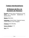 Trabajo matemática C