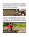 NGOs India,Indian NGOs,Non Profit Organization India