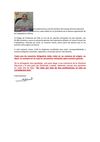 instructivo sobre votación elección CUT