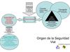Origen y Funcionamiento de la Seguridad Vial
