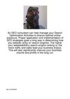 An-SEO-Consultant-Can-Help-Manage-Your-Search-Opti166