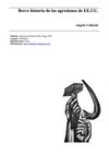 Colleoni, Angelo - Breve historia de las agresiones de EEUU